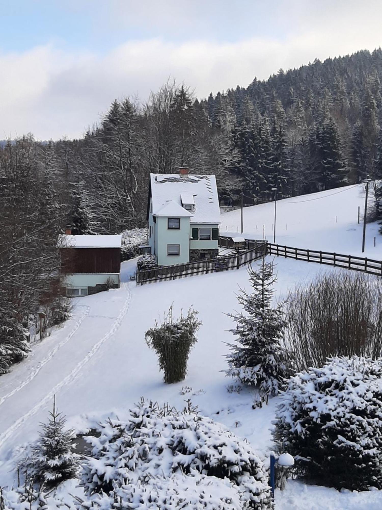 Ferienhaus Rosemarie Erlbach Vogtland מראה חיצוני תמונה
