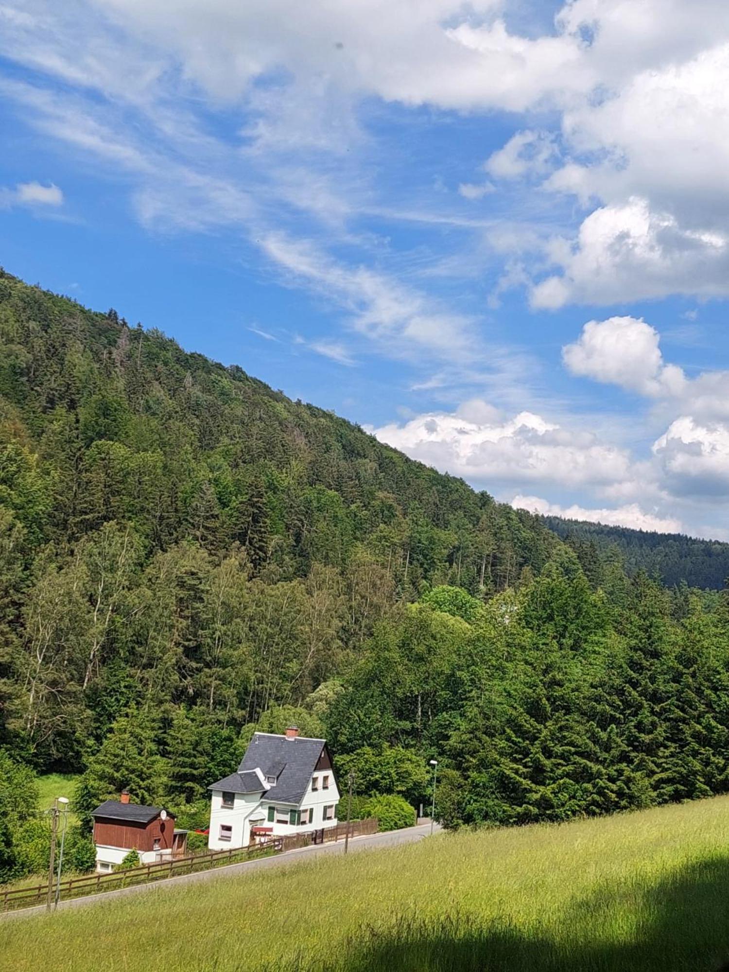 Ferienhaus Rosemarie Erlbach Vogtland מראה חיצוני תמונה